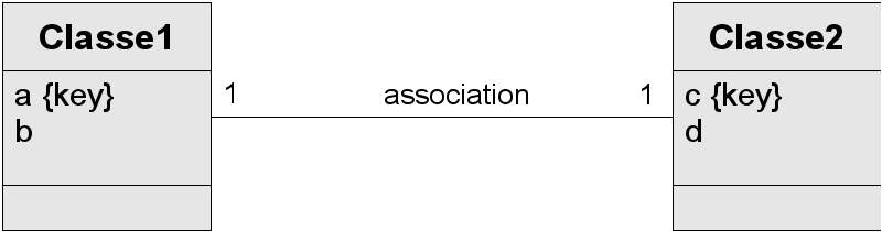 Association 1:1