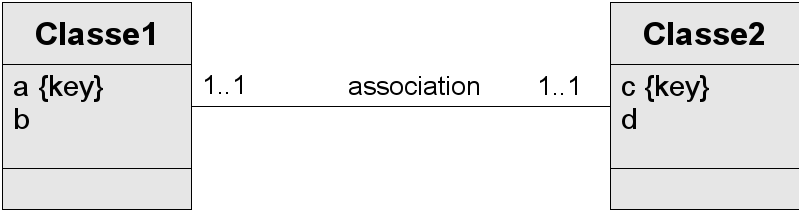 Association 1:1