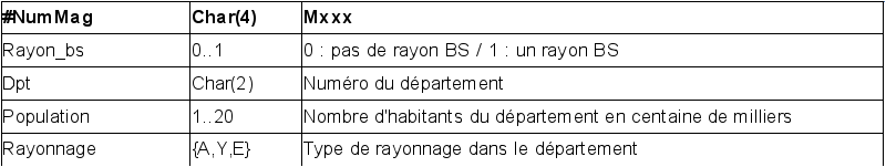 Description de la dimension Magasin (DataWarehouse)